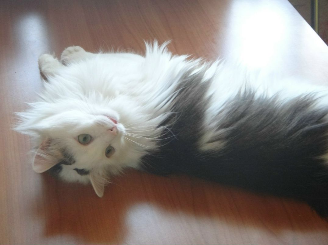 Татьяна Медведева | Рязань