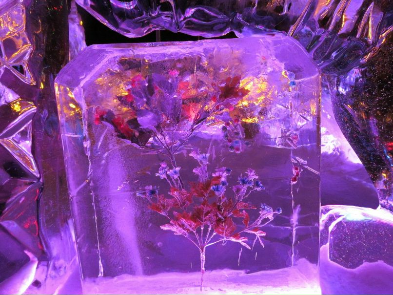 Катерина Пащенко | Москва