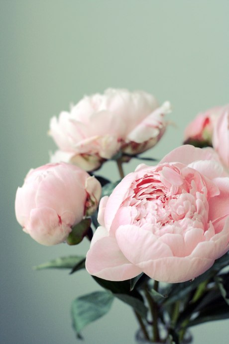 Дарья Половинко | 