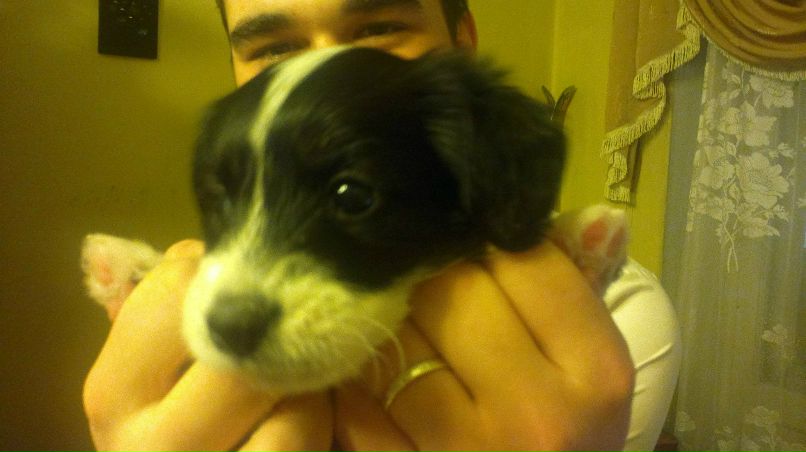 Александр Воробьев | Екатеринбург