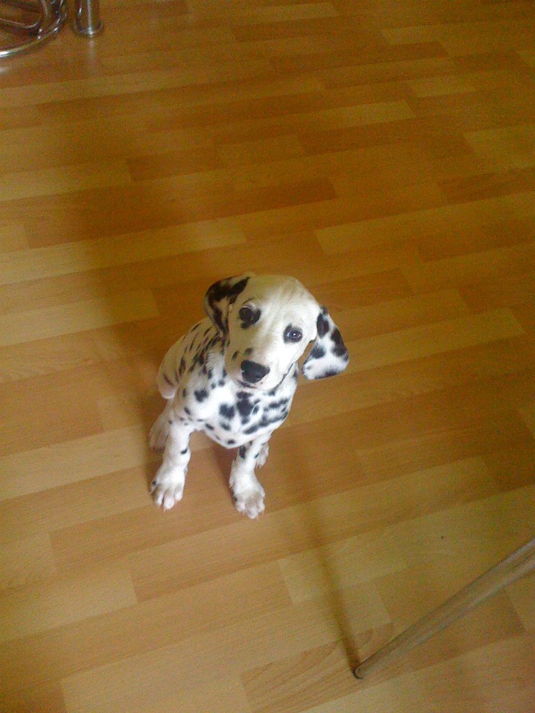 Ксения Королева | Москва