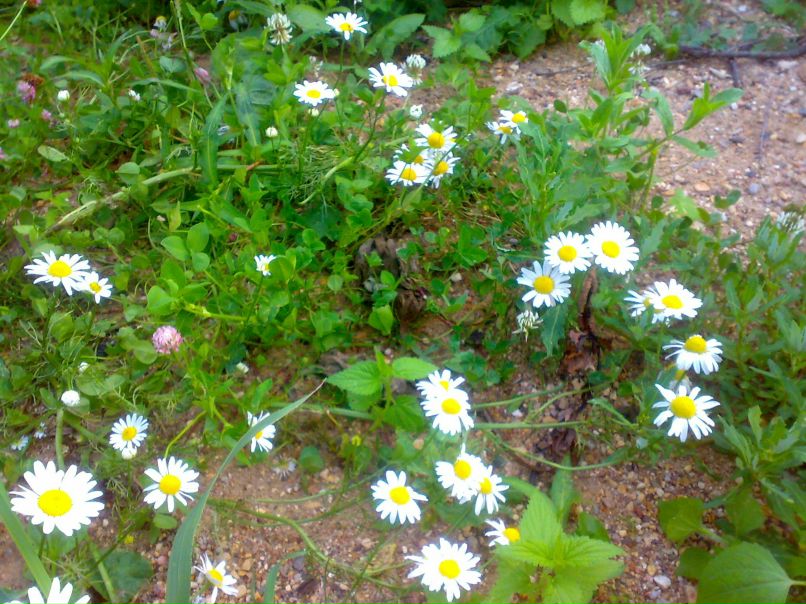 Дарья Бабочкина | Москва