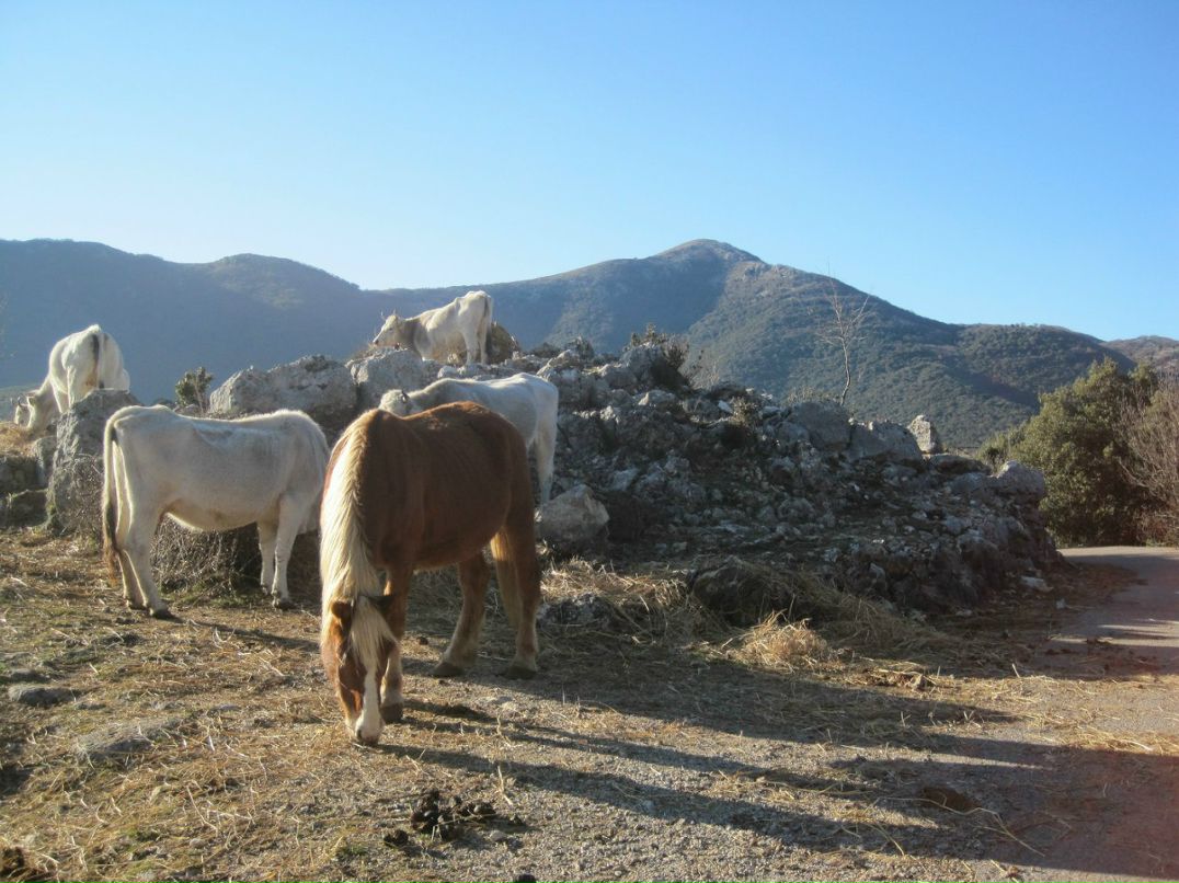 Ольга Сидорова | Санкт-Петербург