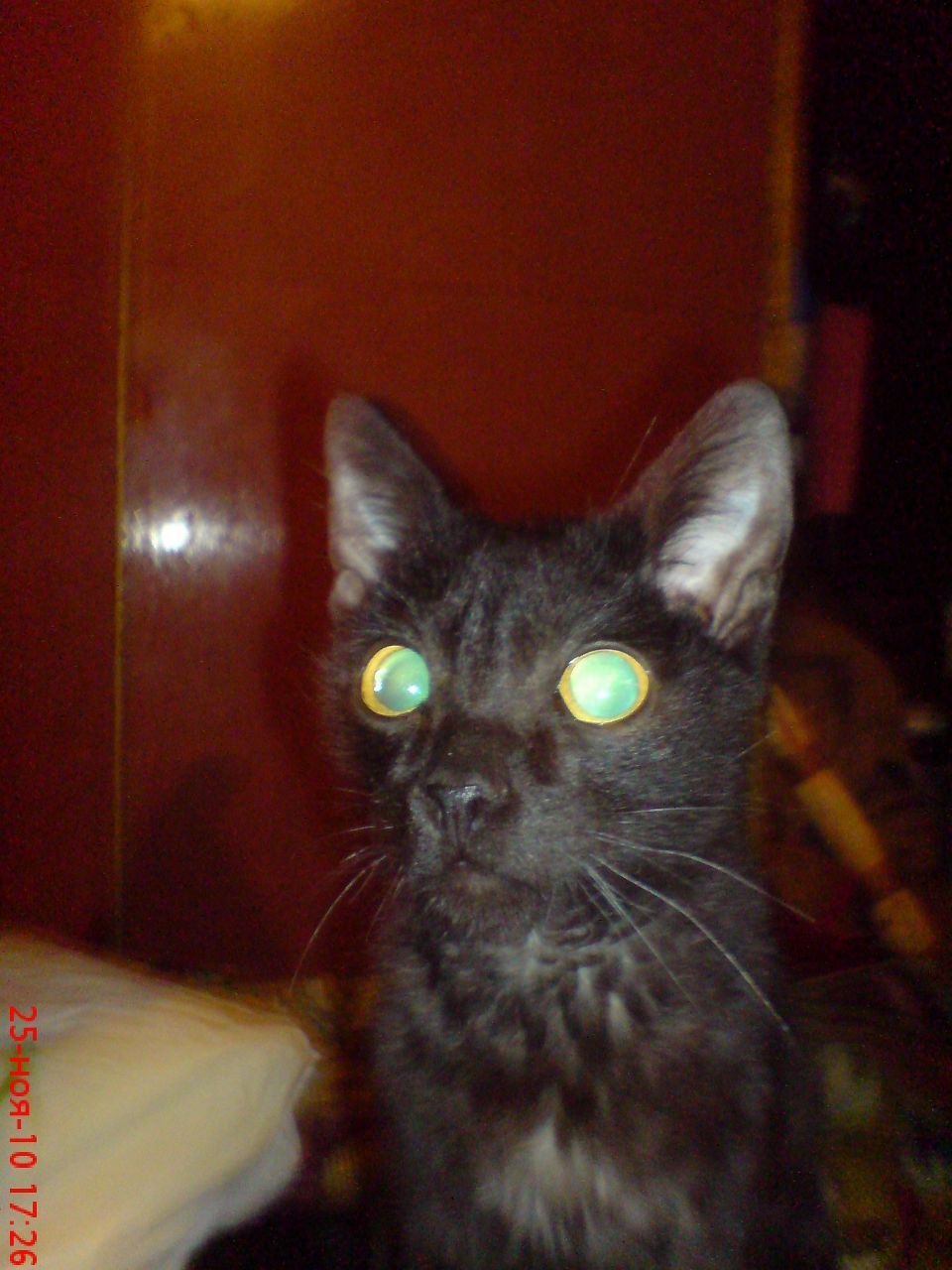 Kolya Donhenko | Белая Церковь