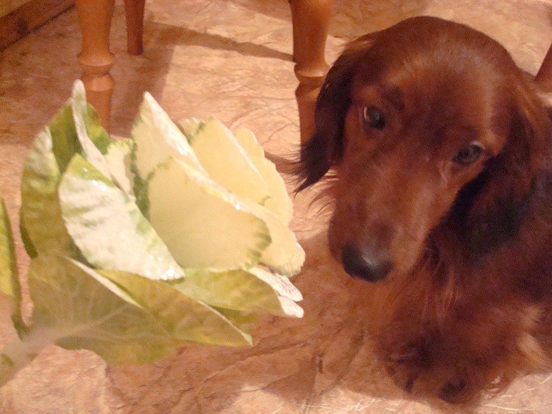 Ксения Щепакова ???? ???? ???? | Киев