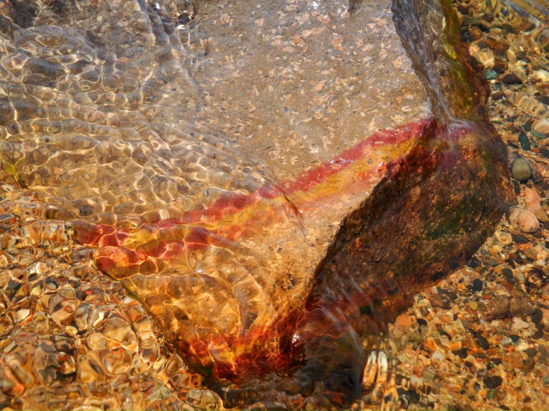 Михаил Бардин | Нижнеудинск