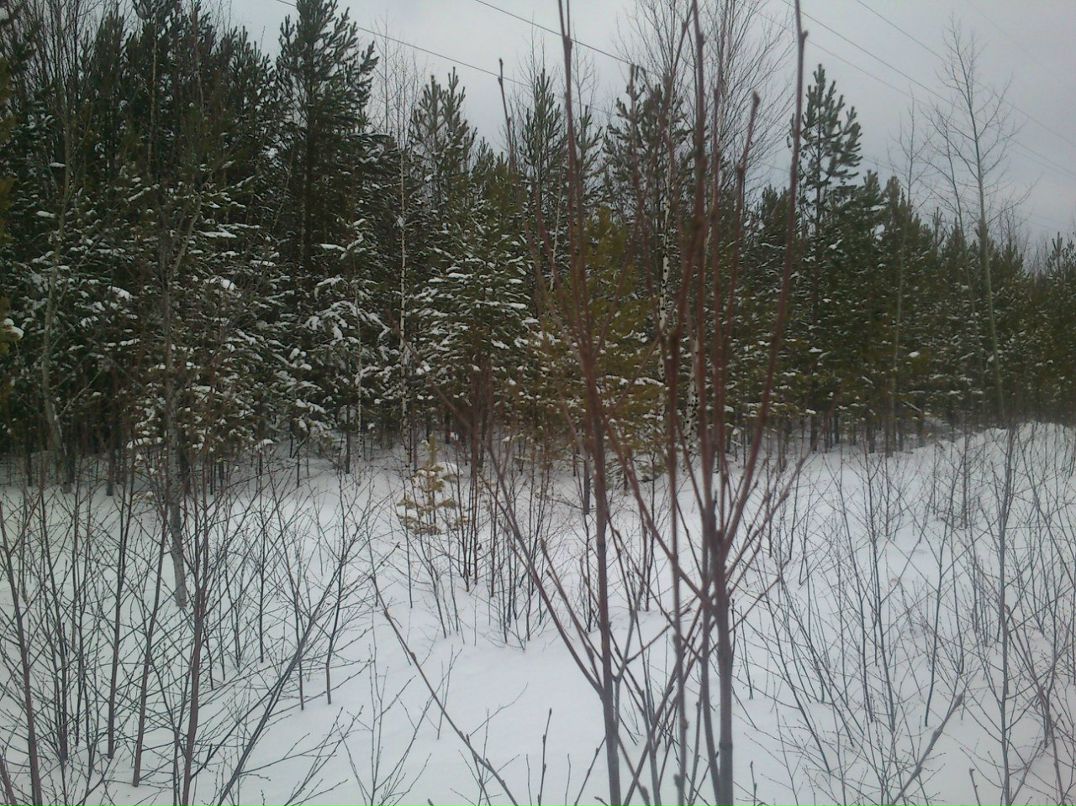 Александр Бугуртов | Стрежевой