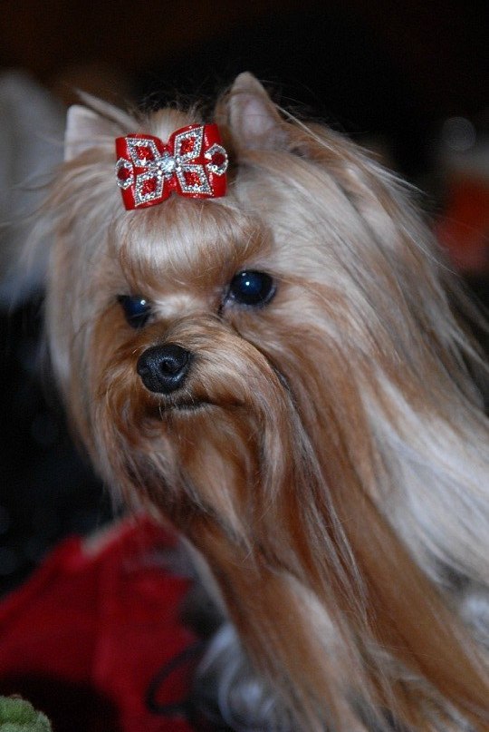 Jullia Sergeevna | Калининград