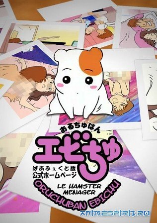 Артем Асадов | Владимир