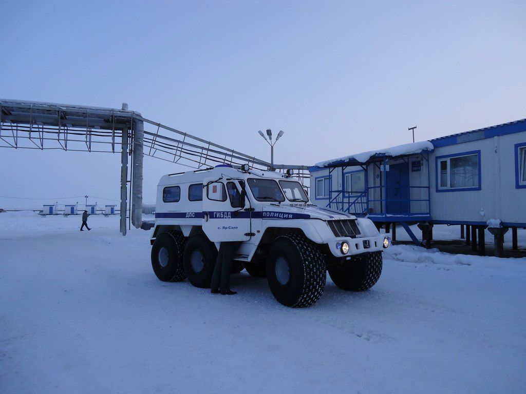 Вовчик Макурин | Новомосковск