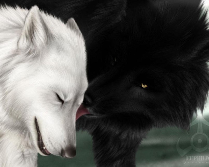 Александр Макухин | Железногорск