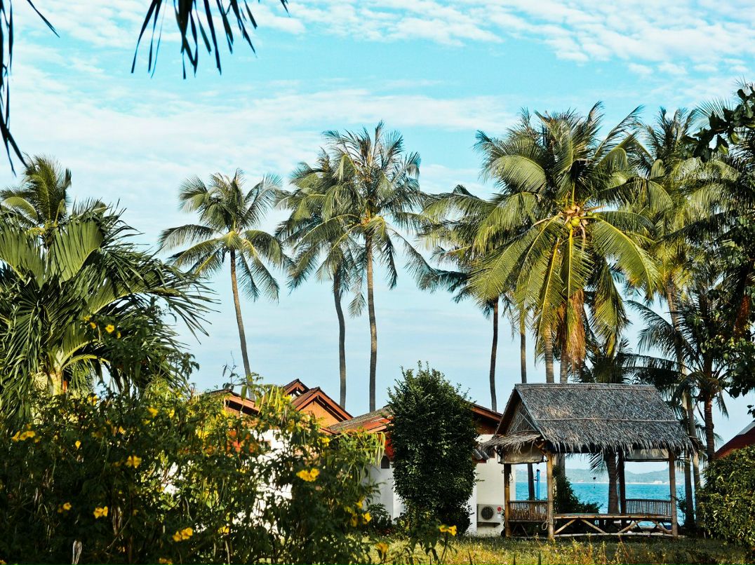 Светлана Ярова | Москва