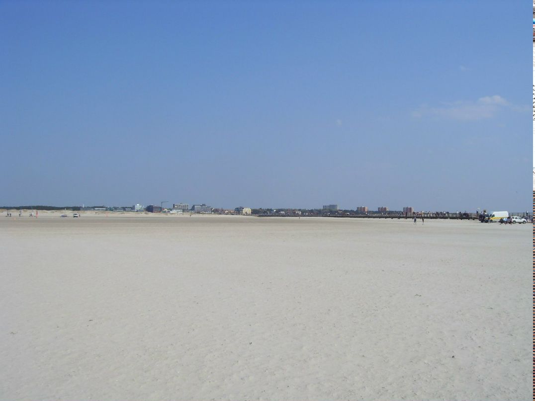 Дима Муравейко | Минск