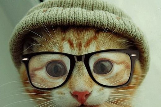 Александр Галата | Кишинев