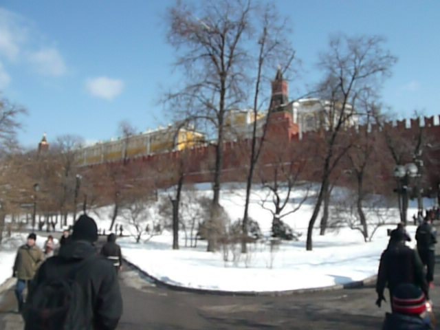 Дмитрий Коновалов | 