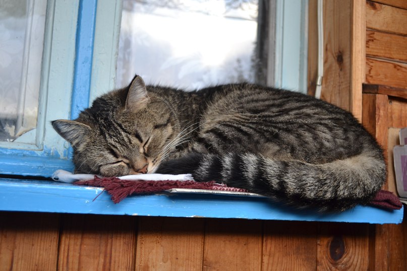 Іра Бельская | Минск