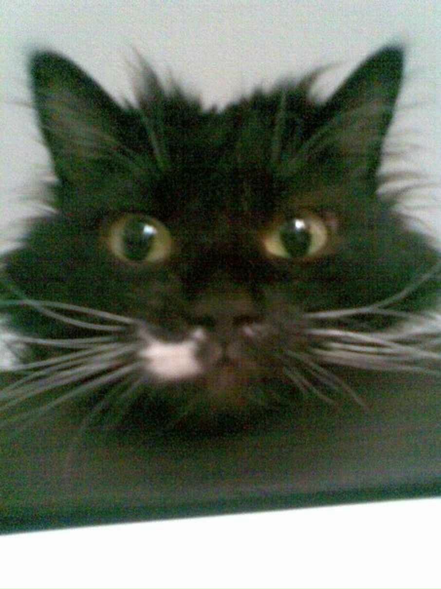 Роман Дейна | Якутск