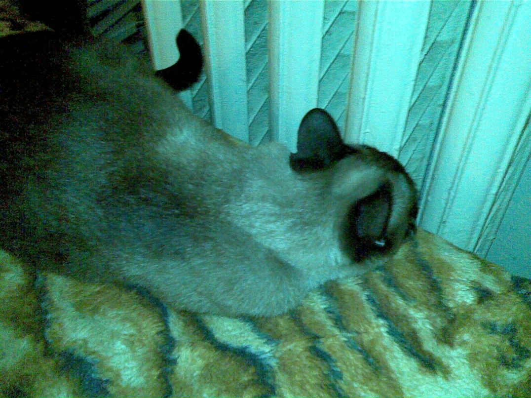 Николай Кузнецов | Санкт-Петербург