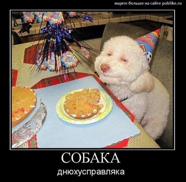 Виталий Жаркий | 