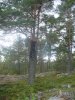 Алексей Кутилов фотография #29