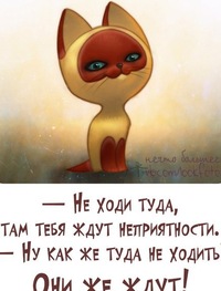 Анастасия Сафронова
