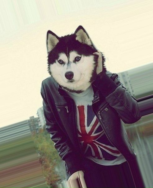 Василий Иванов, Россия, Москва