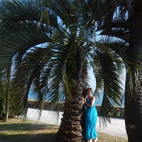 Елена Сергеева