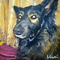 Максим Романов