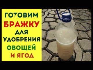 ДРОЖЖЕВОЕ УДОБРЕНИЕ  СУПЕРПОДКОРМКА ДЛЯ РАСТЕНИЙ