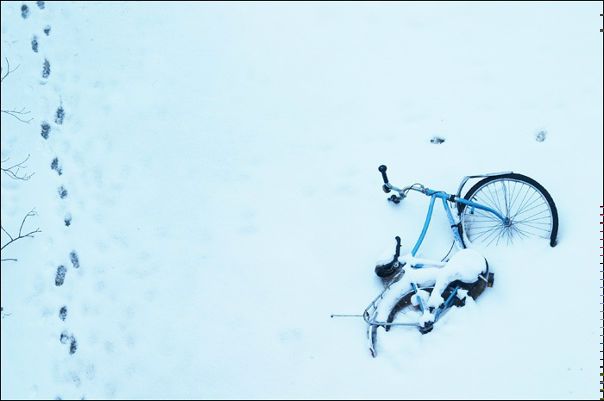 №186, Таня Брагинская, Минск №186, Таня Брагинская, Минск