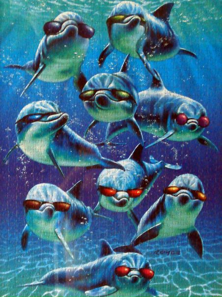 №38, Александр Козедуб №38, Александр Козедуб