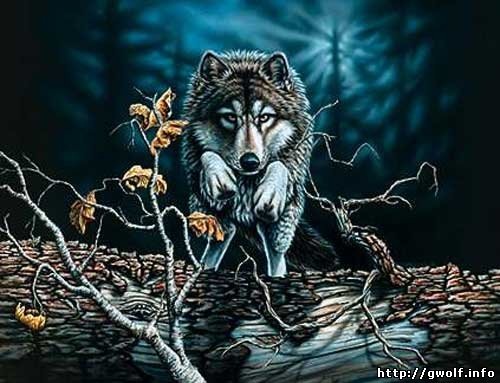 Ленуся Серова фото профиля #2