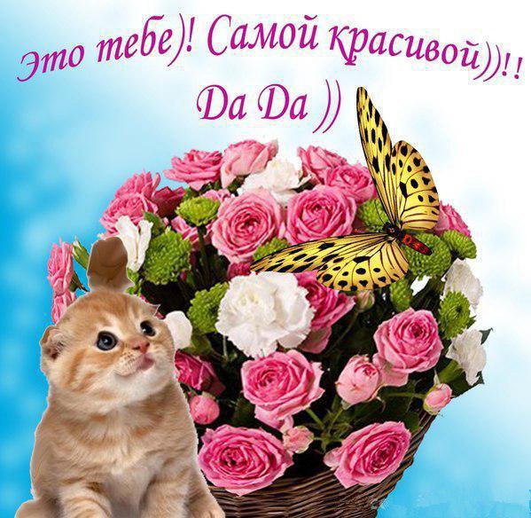 картинка для самой красивой которую я видел представлен
