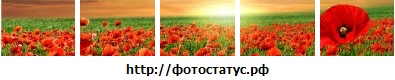 №12, Евгения Боярская, 34 года №12, Евгения Боярская, 34 года