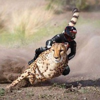 мото хонда сузуки ямаха Moto Honda Suzuki Yamaha вконтакте