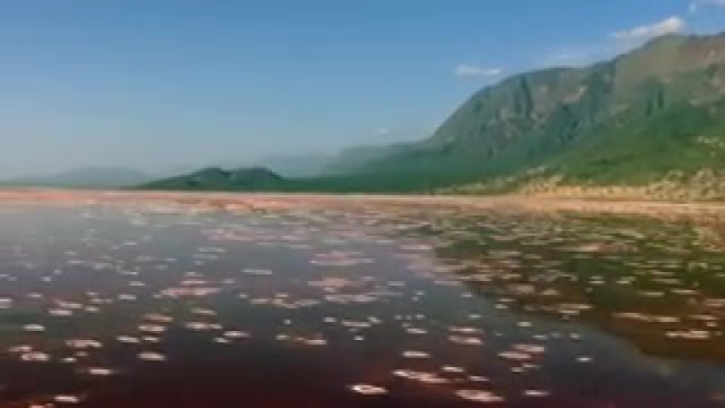 Relax. Beautiful Nature