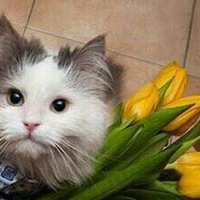 Наталья Кузнецова