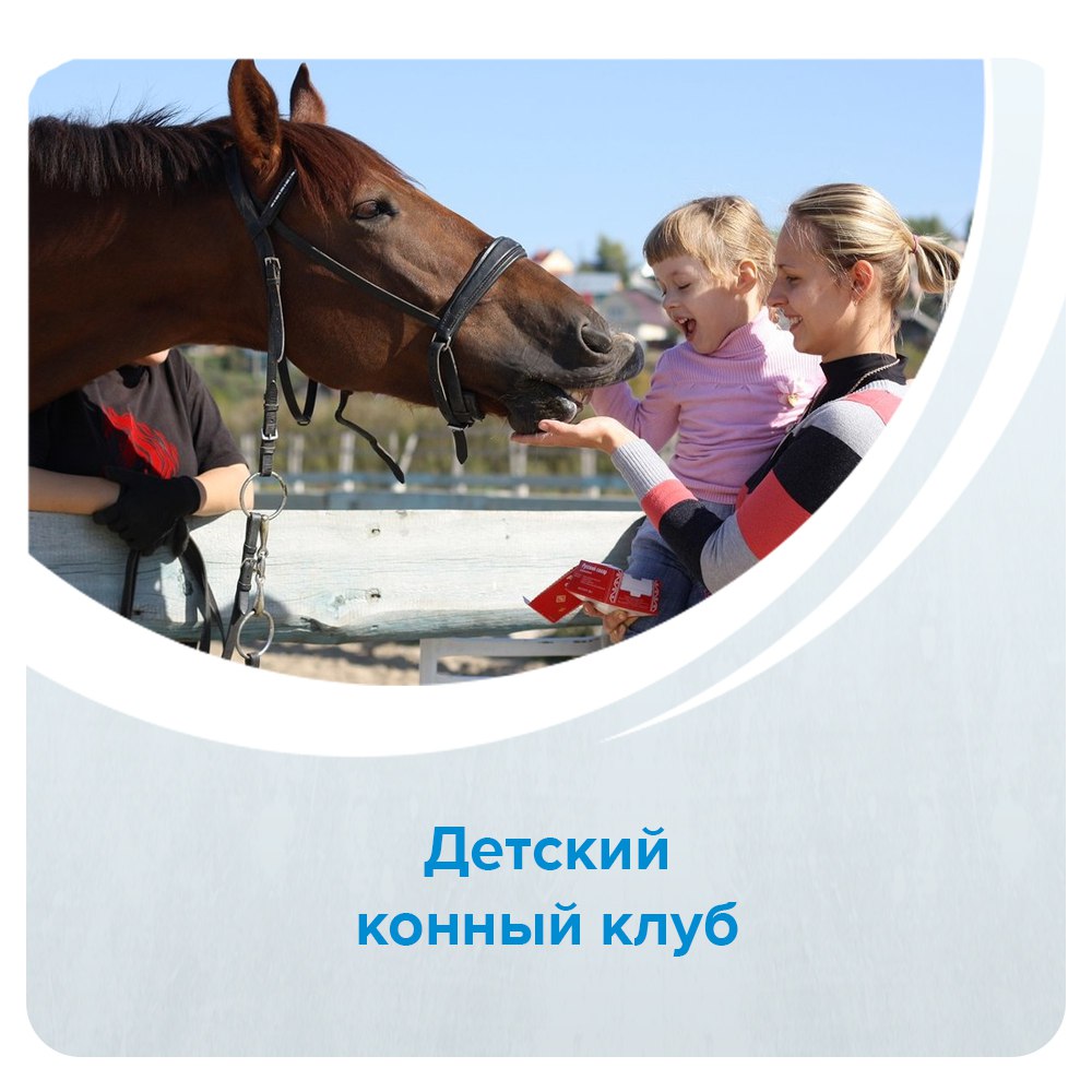 детский конный клуб. прогулка на лошадях. катание на лошадях дети. верховая езда дети. верховая езда.