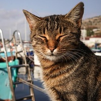 Сергей Беляев