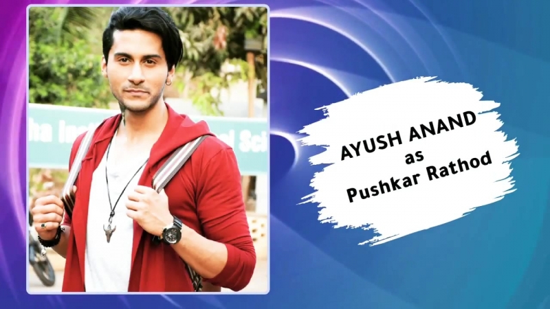 Shocking Salary of Perfect Pati Serial Cast And Tv