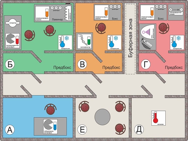 Схема цсо. Типовой проект ПЦР лаборатории. Планировка ПЦР лаборатории план. План схема микробиологической лаборатории. Структура микробиологической лаборатории схема.