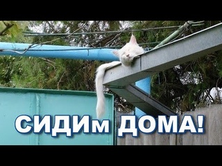 СИДИм ДОМА! Но виртуально ходим по-гостям)) Добро пожаловать в мой дом!