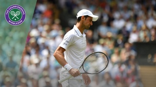 Novak Djokovic vs David Goffin Wimbledon 2019 quarter-final highlights