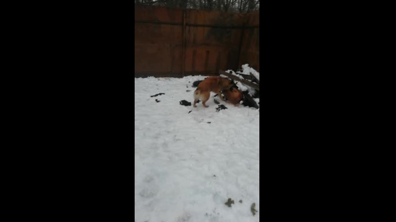 VID_20200120_160329.mp4