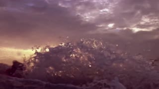 Artemisia Cam