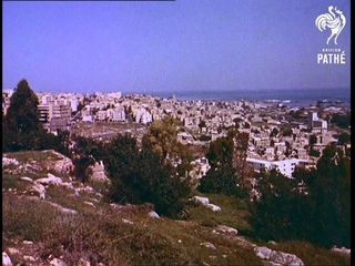 Picking And Packing Oranges (1957)