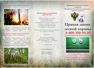 буклет пожарная безопасность в лесу. схема охраны периметра здания ивс. ухищрения применяемые для совершения побега. брошюра пожарная безопасность в лесном хозяйстве. ухищрения применяемые осуждёнными для совершения побега.