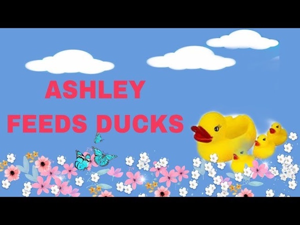 ASHLEY FEEDS DUCKS, يتغذى اشلي