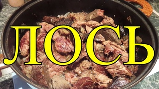 ЛОСЬ! МЯСО! ПЕЧЕНЬ! СЕРДЦЕ! ЛЕГКОЕ!