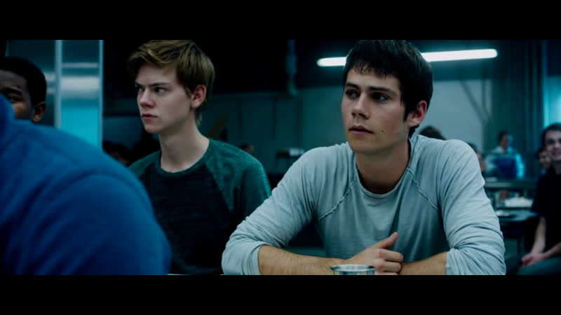 thomas x newt,